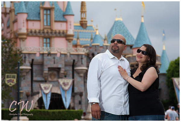 Disney Castle