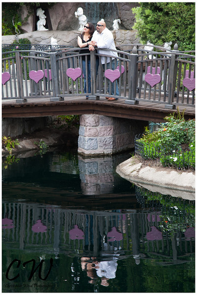Bridge Disney Land Hearts
