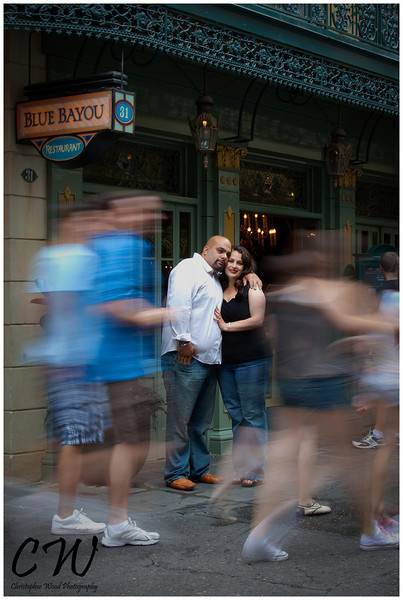 Disney Blue Bayou 