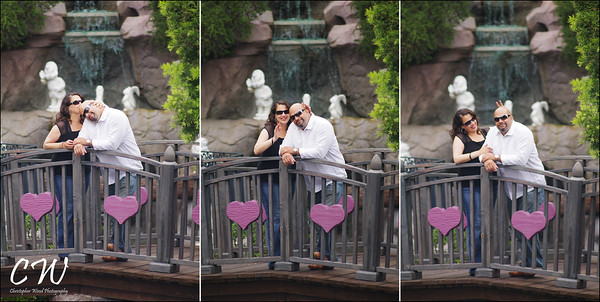 Heart Bridge