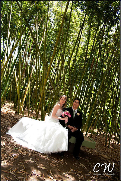 Bride and Groom in Bamboo Forest, San Diego