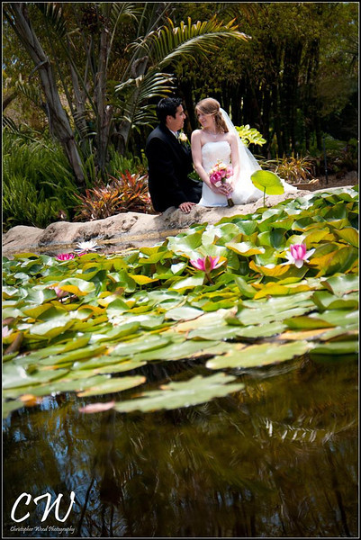 Botanical Garden Pond Portrait