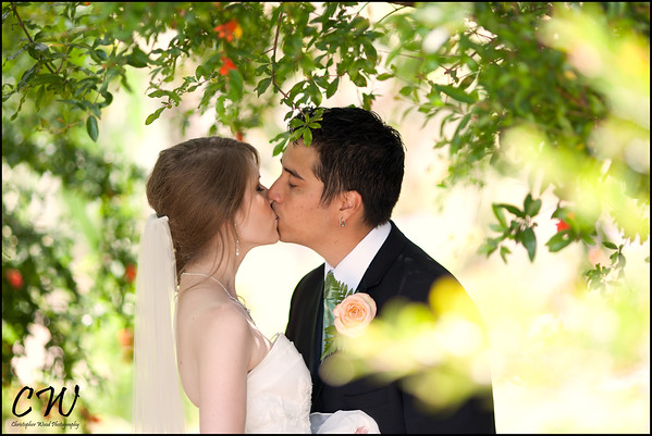 San Diego Quail Gardens Wedding